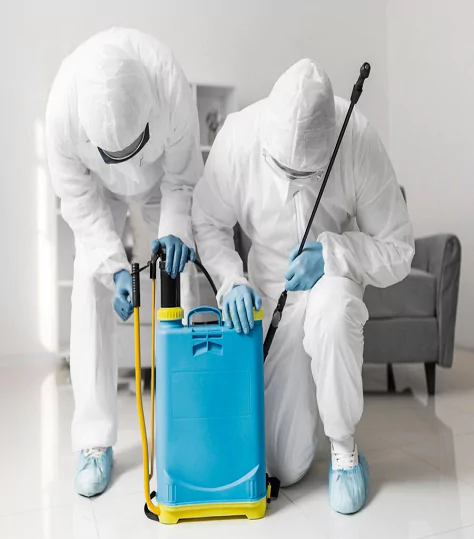 Pest Control Solutions in Cheltenham