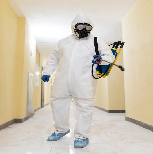 Pest Control Cheltenham
